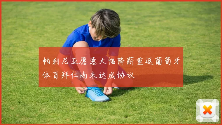 帕利尼亚愿意大幅降薪重返葡萄牙体育拜仁尚未达成协议