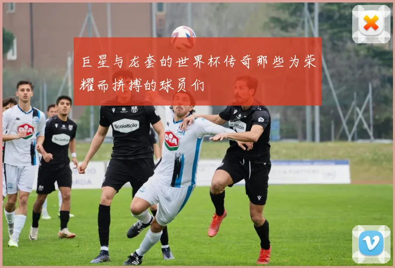 巨星与龙套的世界杯传奇那些为荣耀而拼搏的球员们