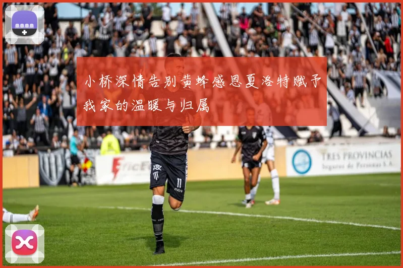小桥深情告别黄蜂感恩夏洛特赋予我家的温暖与归属