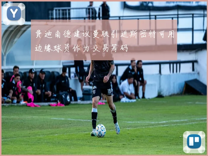 费迪南德建议曼联引进斯密特可用边缘球员作为交易筹码